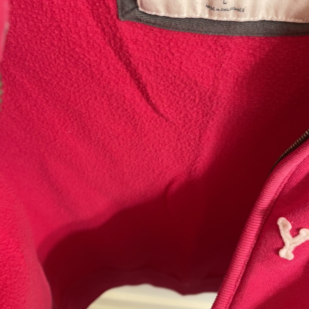 Abercrombie & Fitch Hoodie Size L Color Pink - Picture 9 of 15